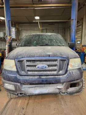 674.fd8504 Ford Truck Tf150new 2004 Radiator Fan Motor 1933882