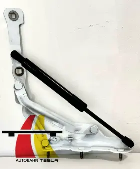 1092820-00-c Tesla Model 3 2017-23 Oem Rear Right Trunk Hinge And Gas Strut