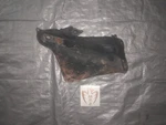 Toyota MR2 Left Rear Subframe Mount Driver AW11 1987 1988 1989 Bracket. Fixed Price $90.00.