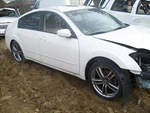 Radiator Fan Motor Only Right Left Hand Fits 04-08 Maxima 1043768. Fixed Price $195.00.