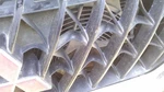 Radiator Fan Motor Assembly Condenser Fits 98-04 Montero Sport 30194864. Fixed Price $110.70.