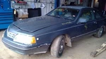 Fan Clutch 6-232 3.8L With Ac Fits 82-88 Cougar 10281942. Fixed Price $43.15.