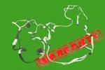 Oem Mercedes W221 S550 S600 S400 Roof Ceiling Wire Cable Harness 2214405909. Fixed Price $85.38.