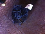 2001 Nissan Frontier Radiator Fan Motor Assembly Condenser 6 Cylinder. Fixed Price $102.60.