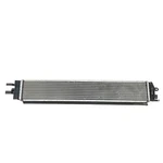 Scuffs* 2018-2020 Aston Martin DB11 / Dbs Superlegerra Lower Cooler Radiator Oem. Fixed Price $445.00.
