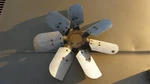 1970 Pontiac Gto Le Mans Trans Am Firebird Blade Clutch Fan 9796134 C70. Fixed Price $199.99.