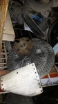 Fan Clutch 6-173 2.8L Fits 87-93 S10/S15/SONOMA 150539. Fixed Price $67.48.